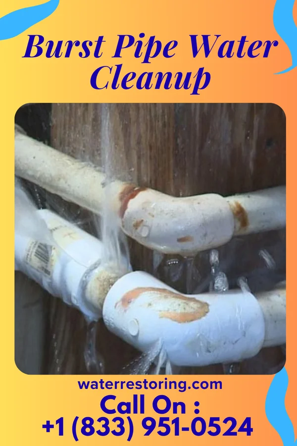 Burst Pipe Water Cleanup in Port Dickinson, NY