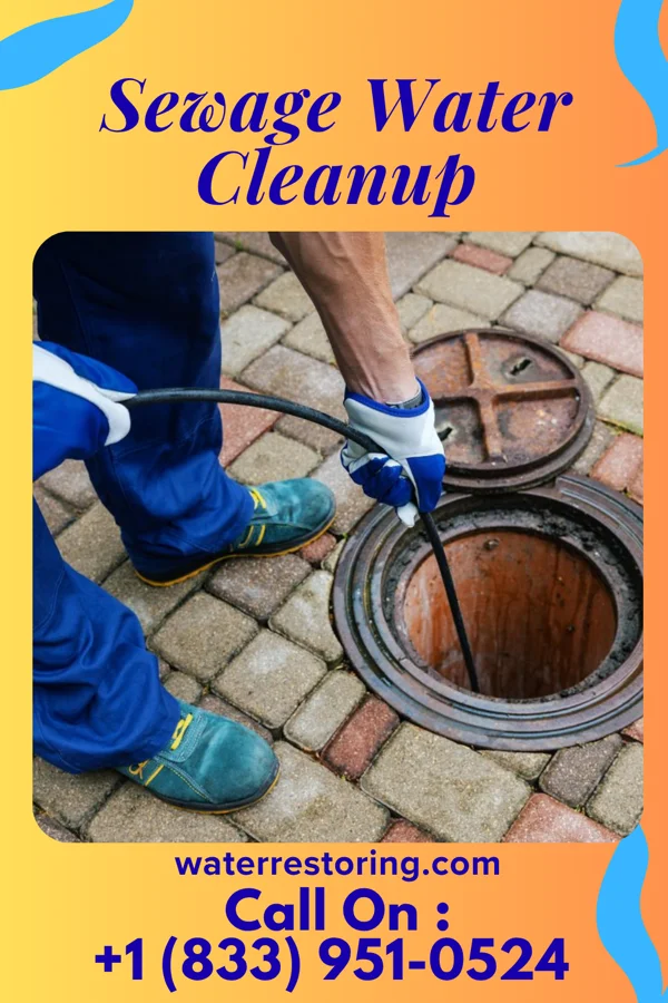 Sewage Water Cleanup in Port Dickinson, NY