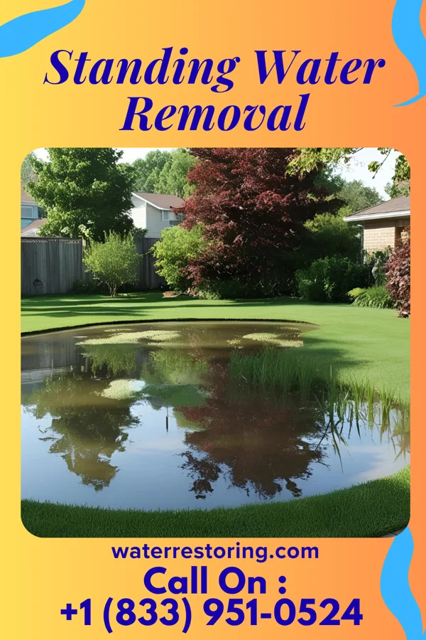 Standing Water Removal in Port Dickinson, NY
